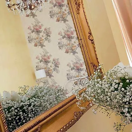 Cameo 4*